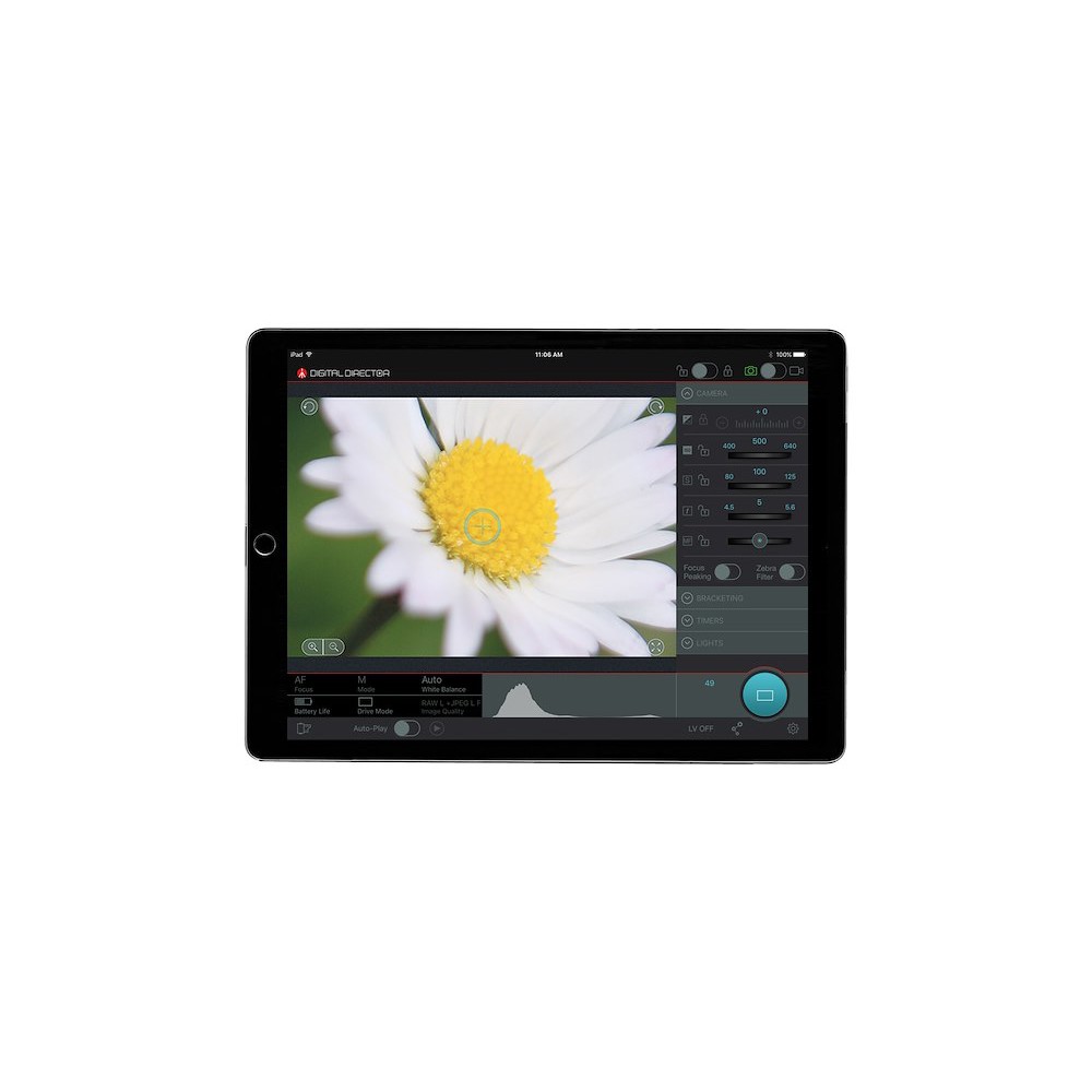 Digital Director per iPad Air 2 thumbnail